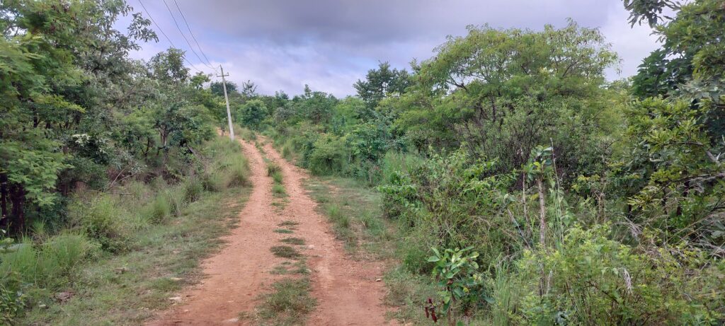 hilu chilume gange trekking dev balaji setty natureadmire chaloghummne karnataka tourism incredible india official