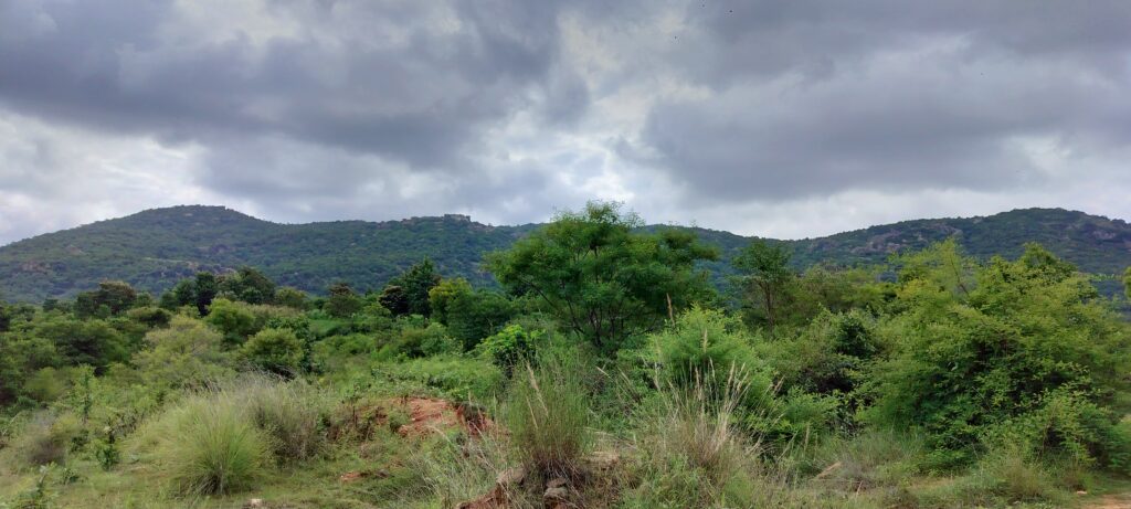 hilu chilume gange trekking dev balaji setty natureadmire chaloghummne karnataka tourism incredible india official